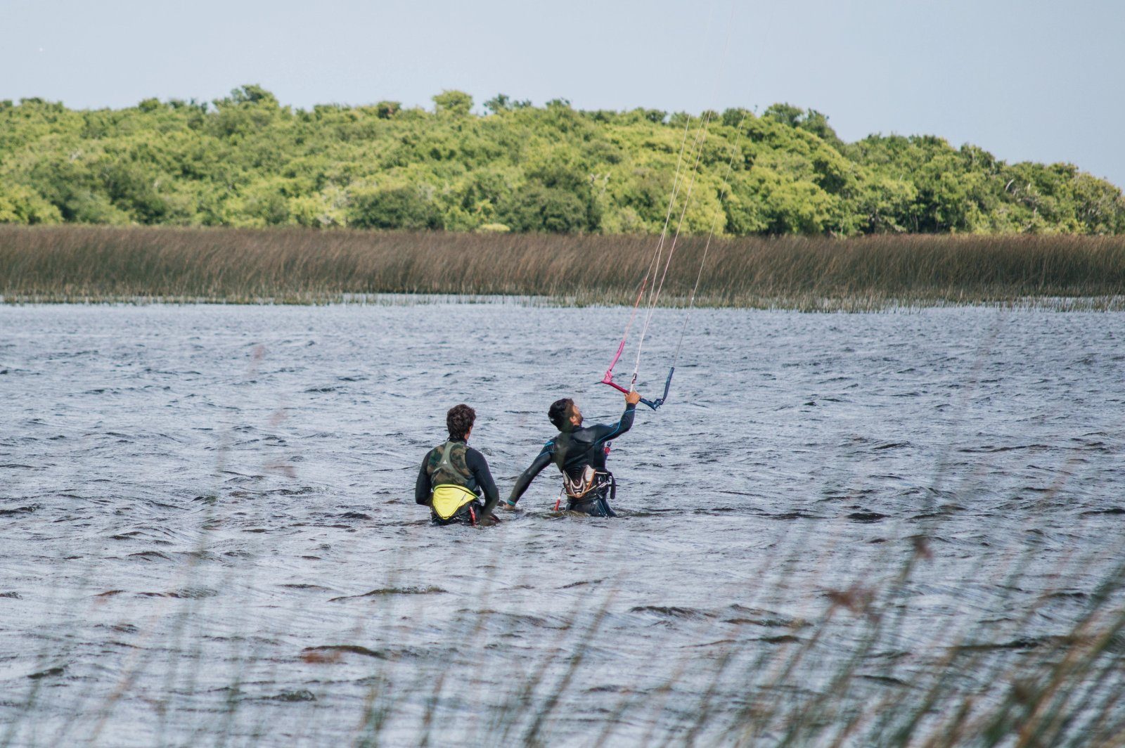 Laguna Los Horcones